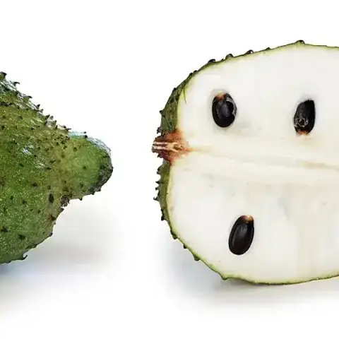 Graviola (Chirimoya)