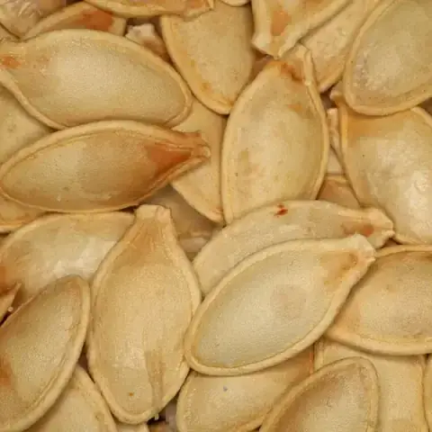 Semillas de Calabaza